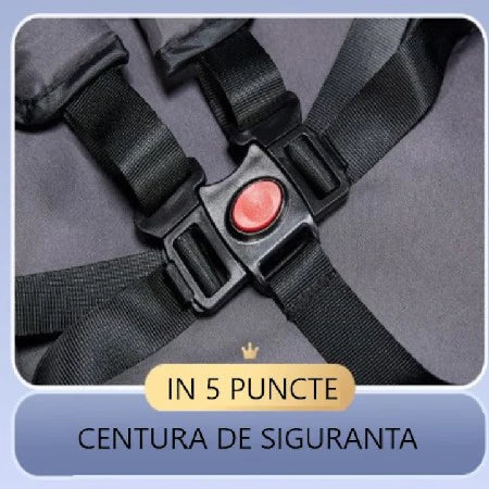 Căruț pentru bebeluși At Performance, pliabil, ușor, cu șezut reglabil și funcție sport, 6-36 luni ROZ PUDRA