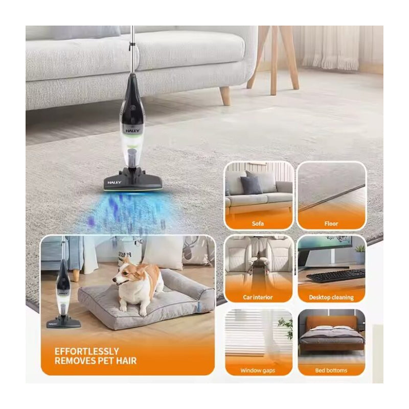 Aspirator vertical profesional HALEY, fara sac, usor si portabil, 600W, curatenie eficienta