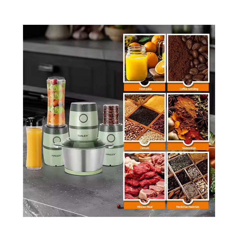 Robot 3 in 1 HALEY, 2L, 500W, de Carne si Legume, din Otel Inoxidabil, Verde